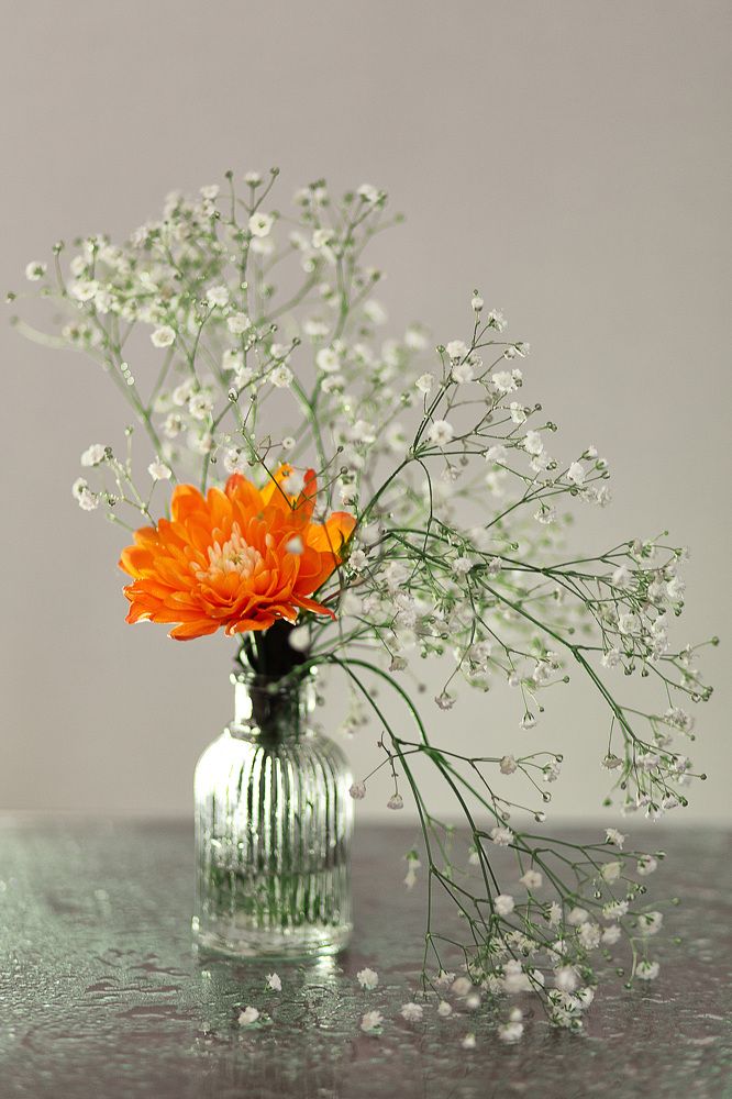 Photograph by Юлия Демкина