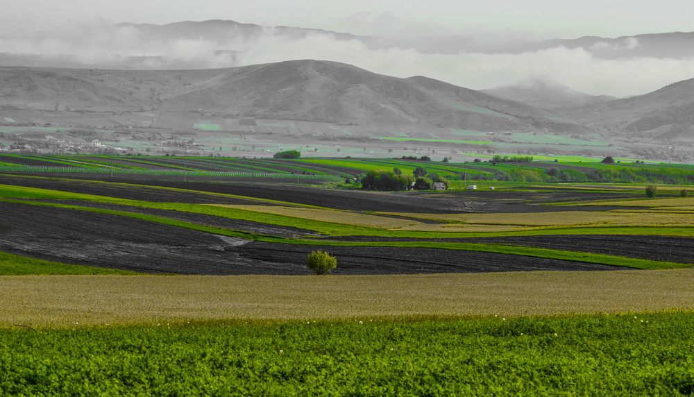 Фотография автора Stefan Alfred