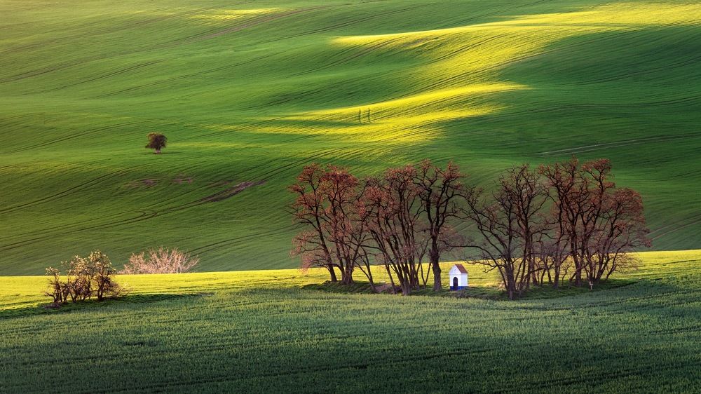 Solitaire versus Chapel
