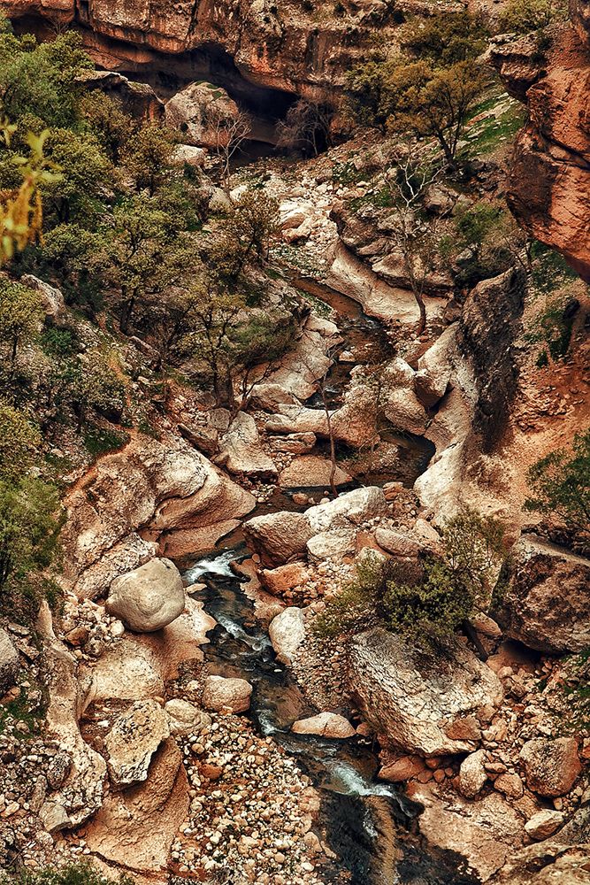 Photograph by Sara Karimi