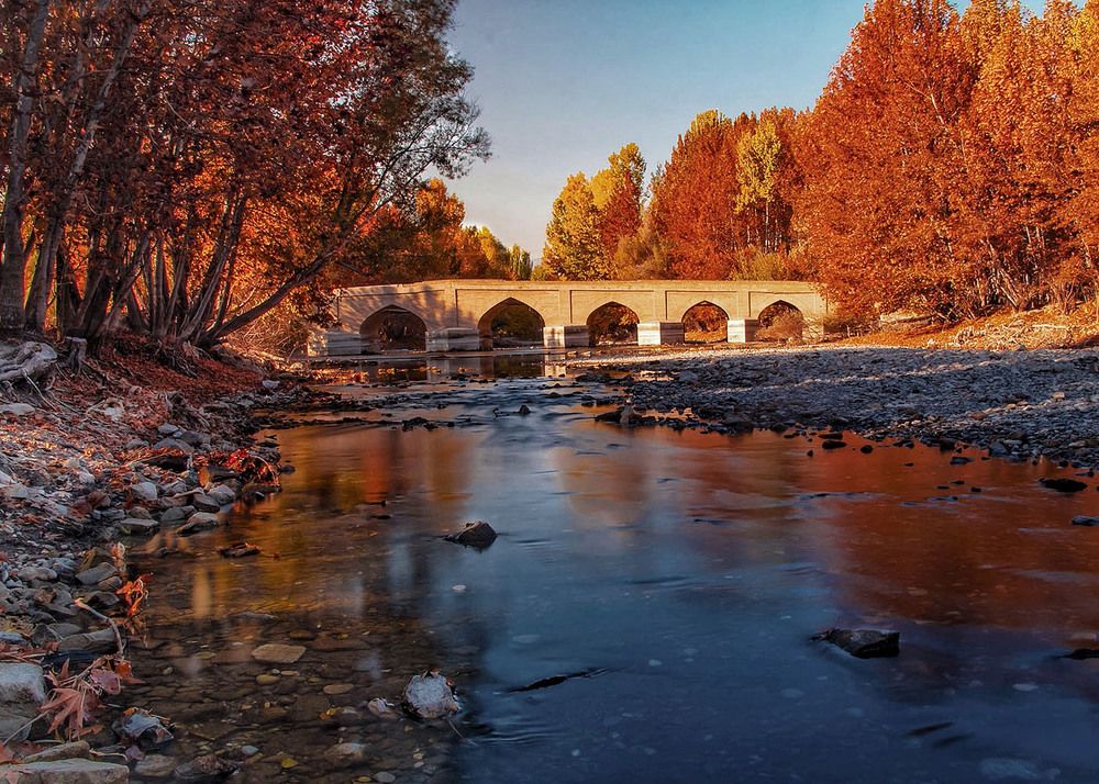 Photograph by Sara Karimi