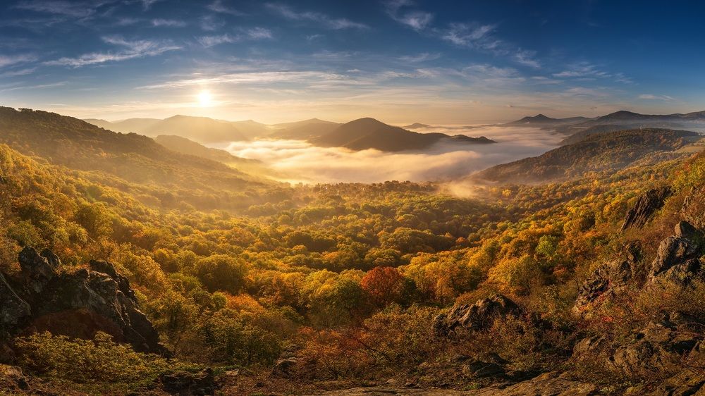 Photograph by Petr Kovar