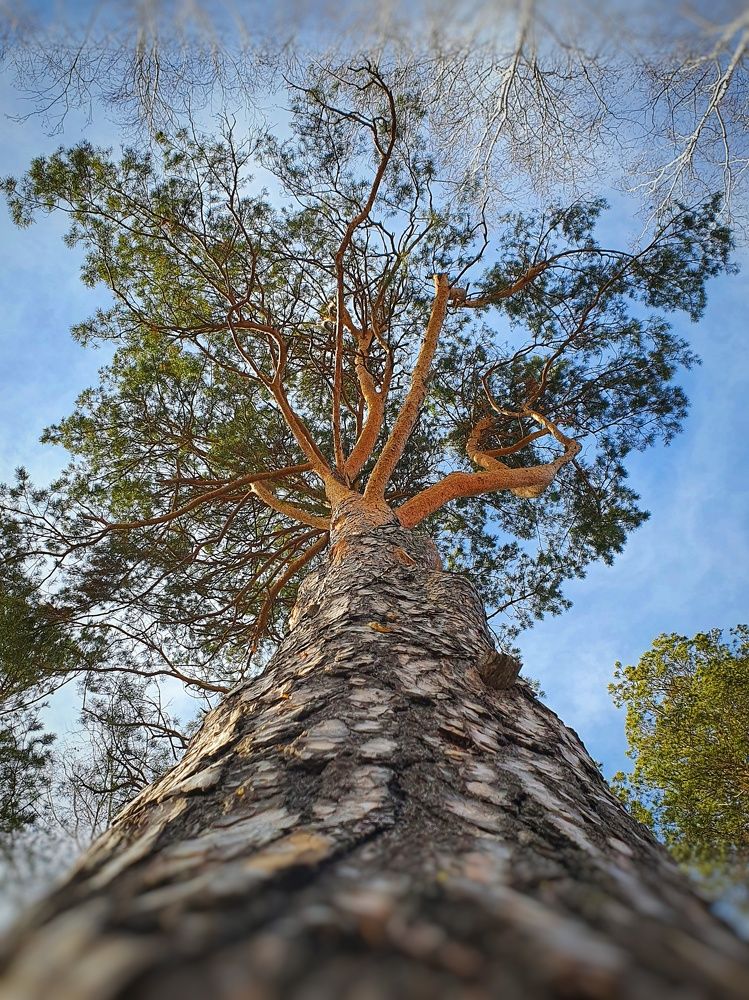 Photograph by Татьяна Мельникова