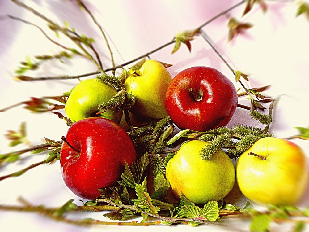 Photograph by Светлана Михайлова