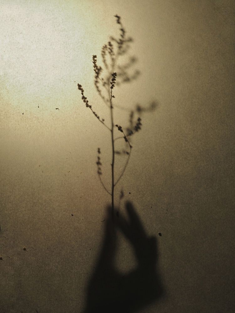 Photograph by Анастасия Иванова