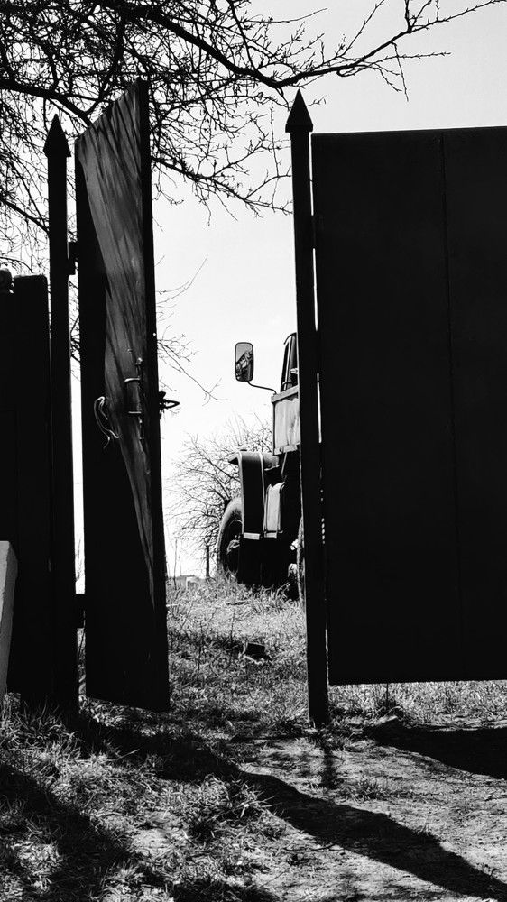 Photograph by Yuliia Opria