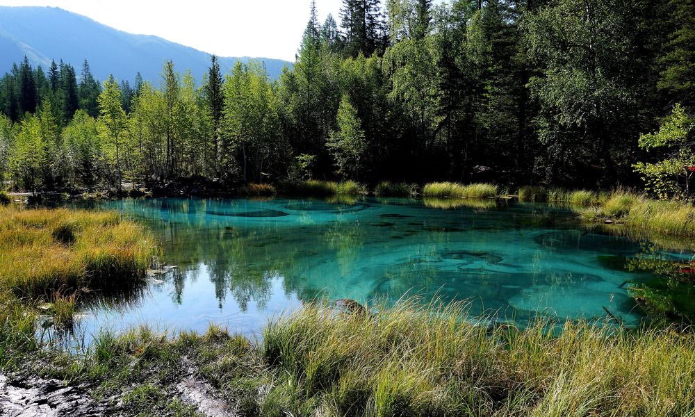 Гейзерное озеро около села Акташ в Горном Алтае