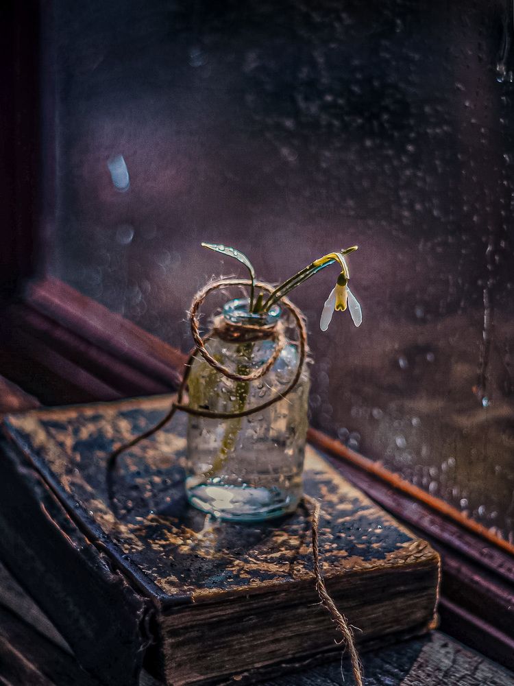 Весна на окне