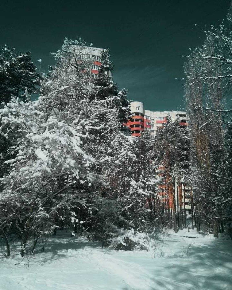 Photograph by Денис Сударчиков