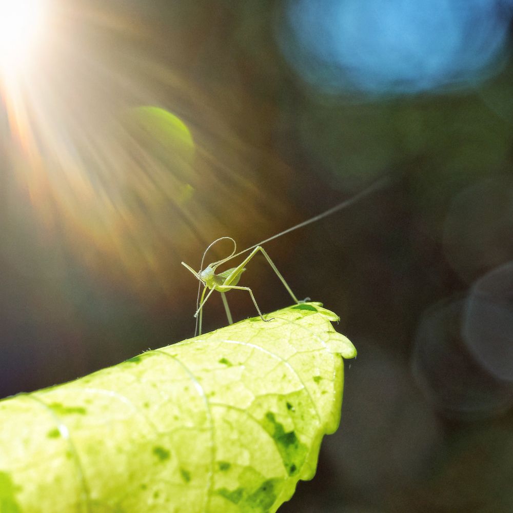 Photograph by Sam Ka Mann