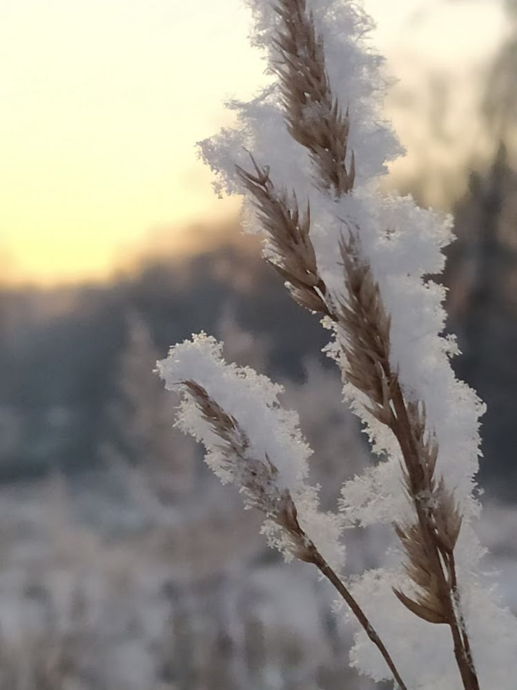 Photograph by Татьяна