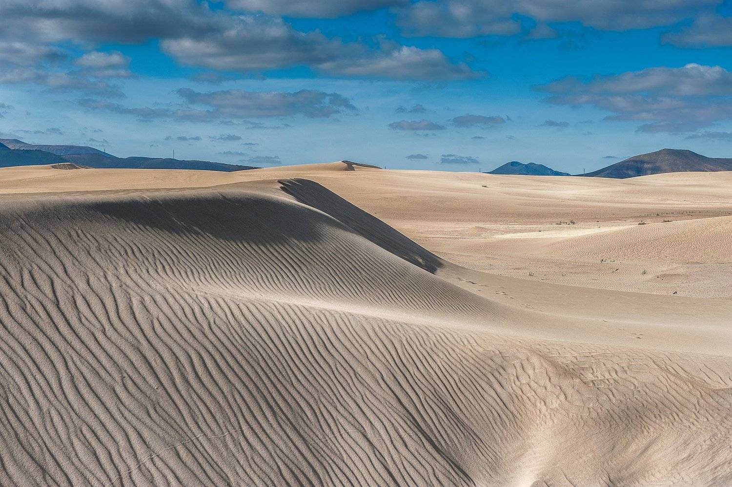 Фотография #6054722