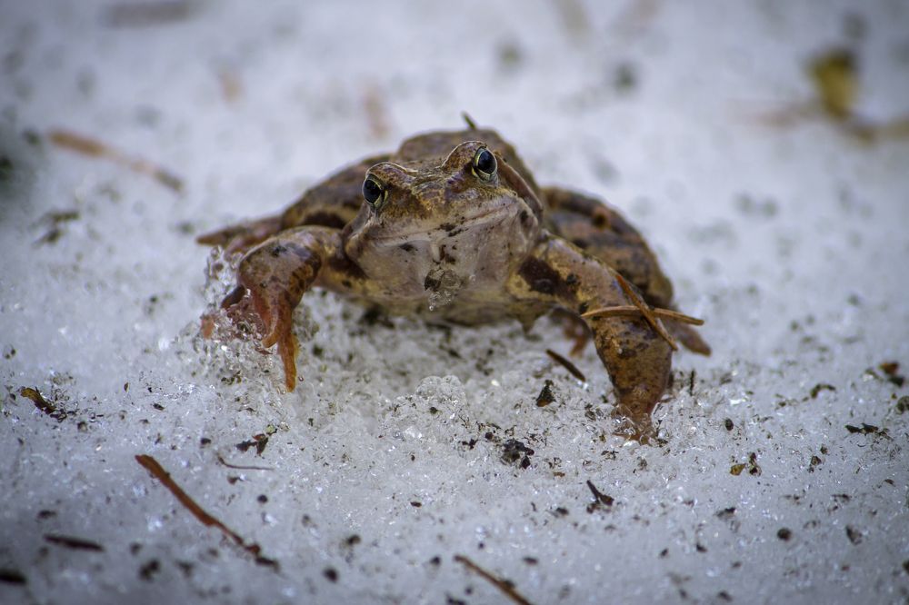 Photograph by Вячеслав Булатов