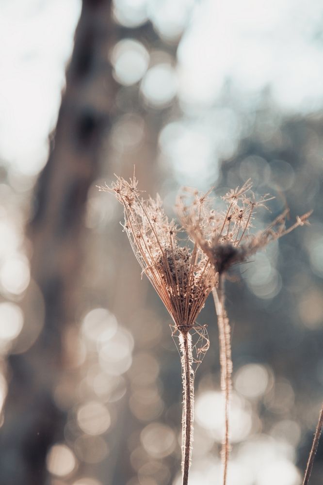 Photograph by Rita Kapitulski