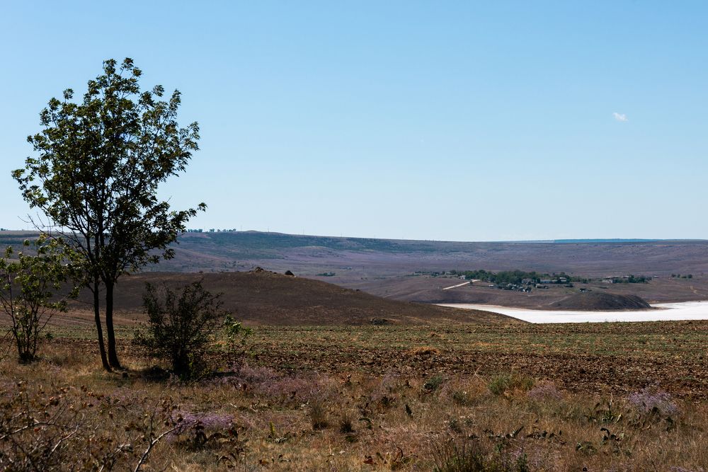 Окрестности солёного озера в Крыму