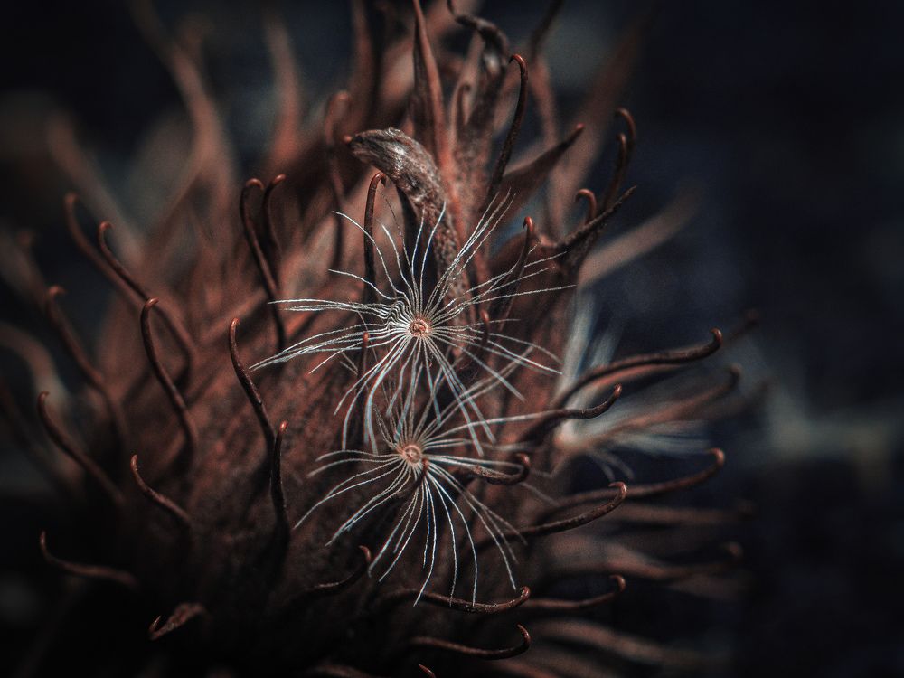 Photograph by Ольга Еженевская