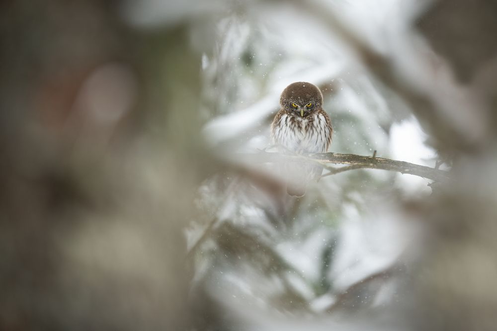 Photograph by Rok Štirn