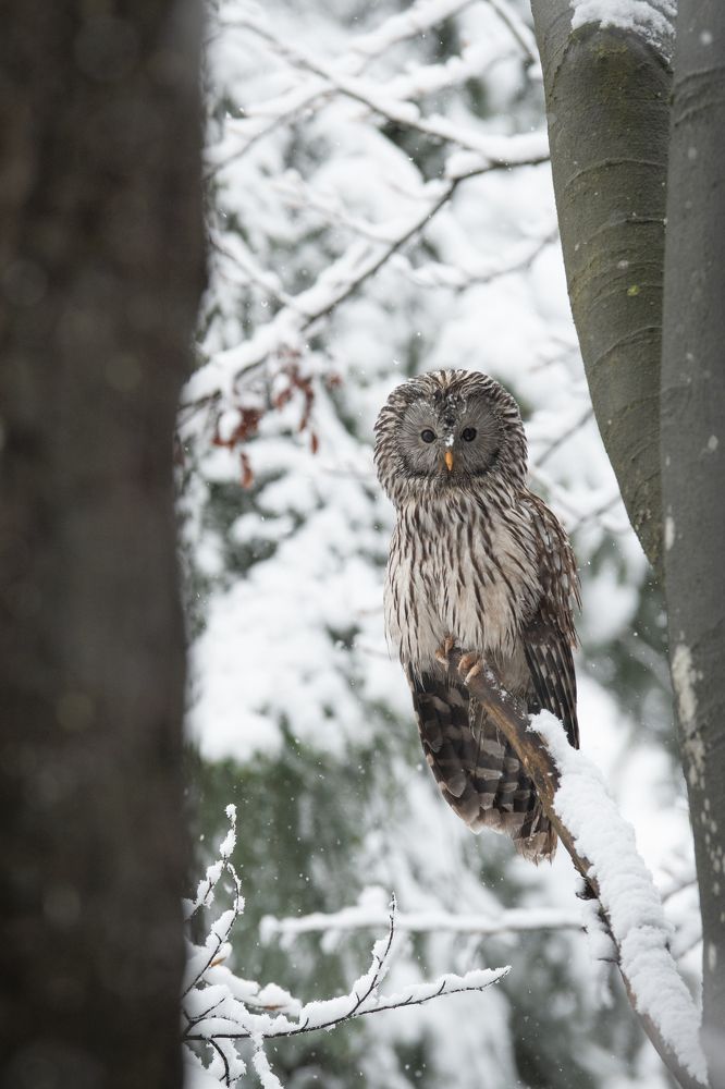 Photograph by Rok Štirn