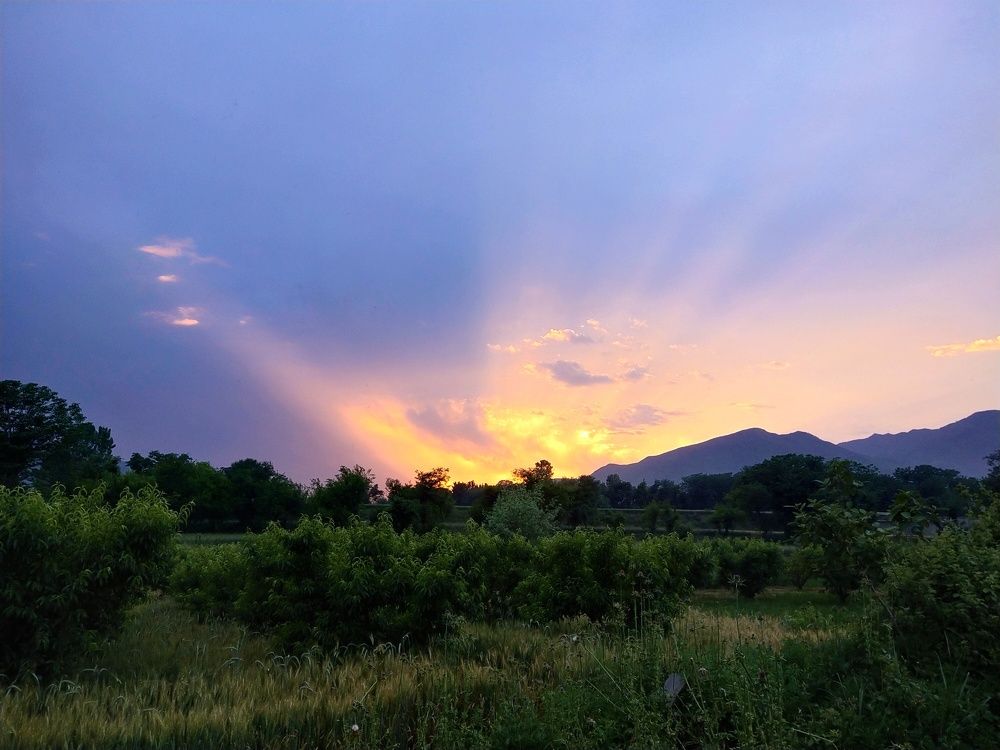 Photograph by Muhammad Abbas