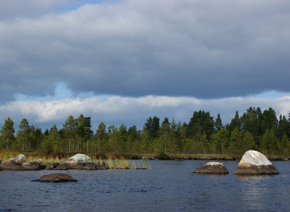 Photograph by Любовь Козлова