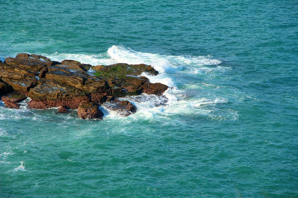 Photograph by Tatiana Barthem