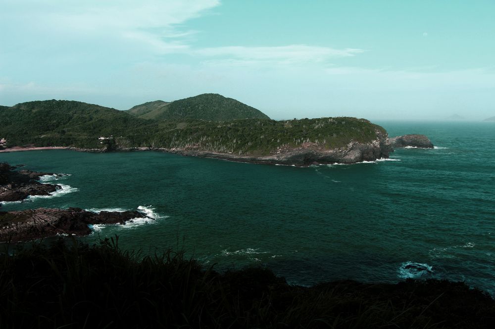 Photograph by Tatiana Barthem