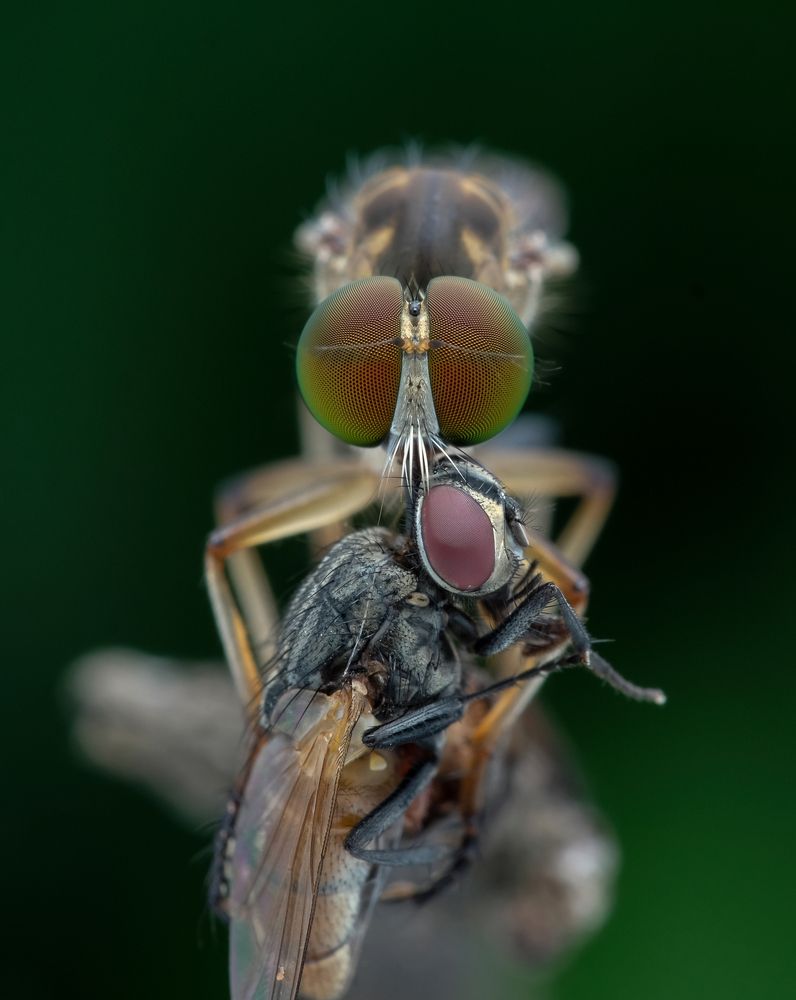 Photograph by Chuah Christopher