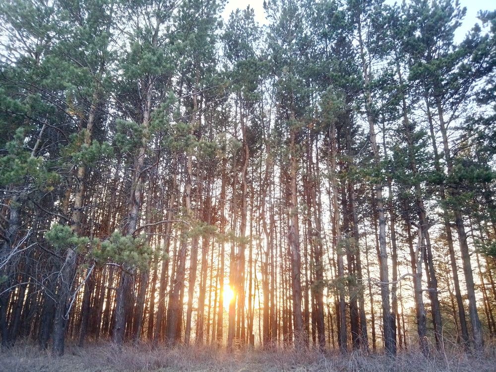 Photograph by Илья Поляков