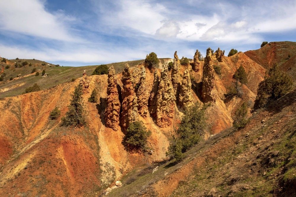 Photograph by Александр Грищенко