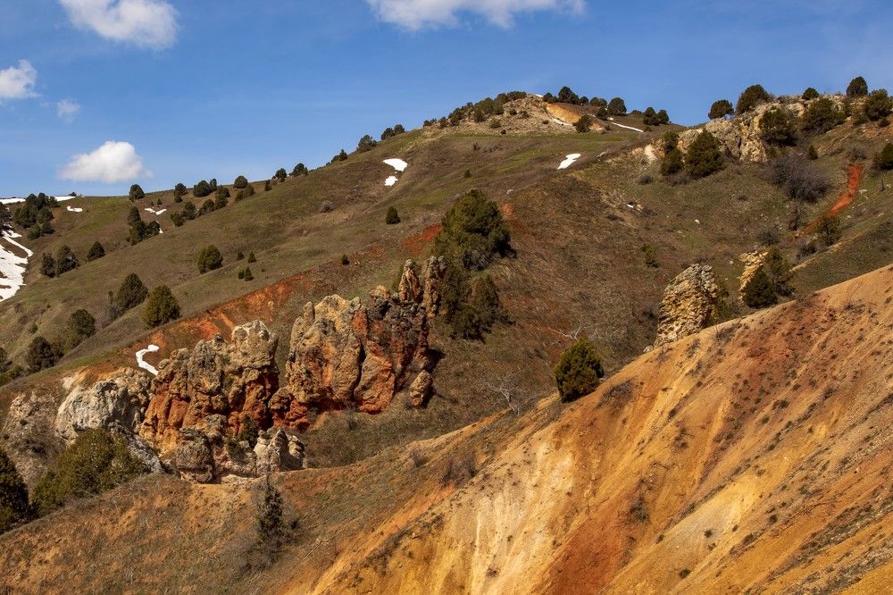 Photograph by Александр Грищенко