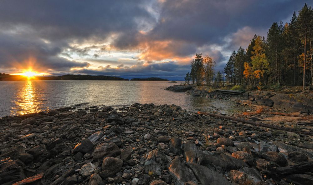 Октябрьская палитра.