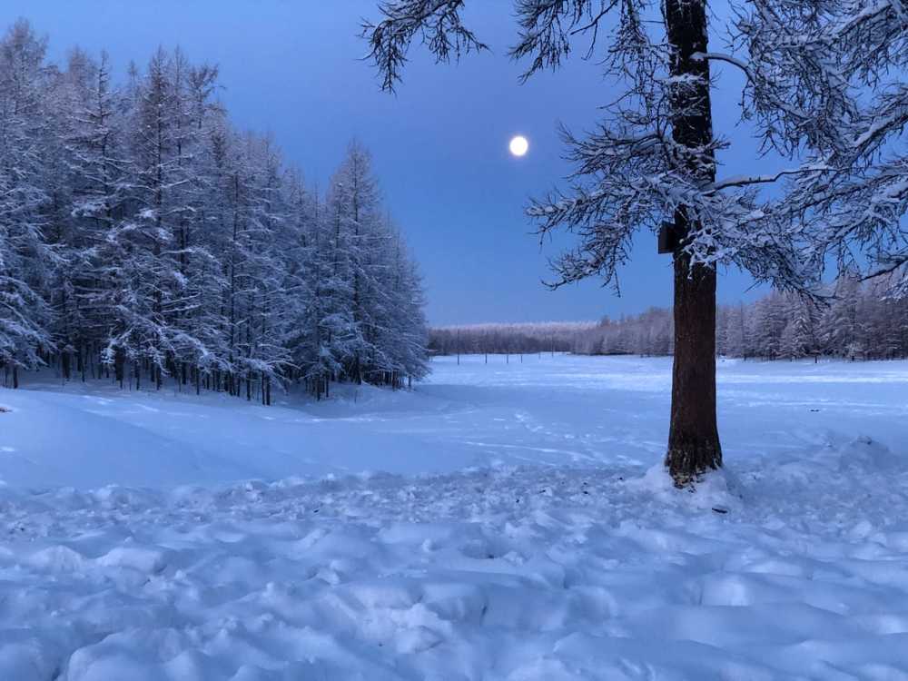 Photograph by Ирина Гаврильева