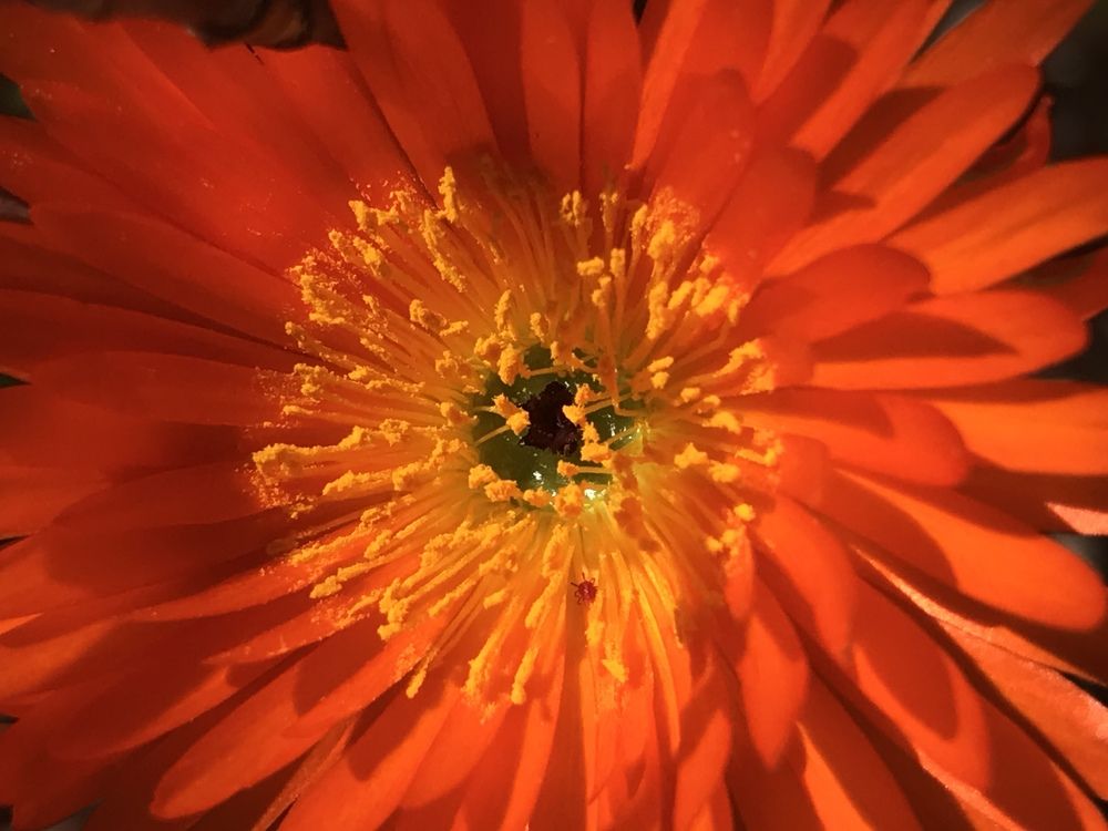 Фотография автора Maurizio Ruggiero