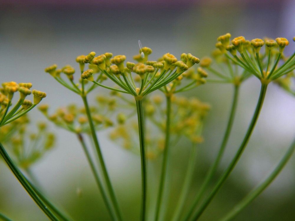 Photograph by Анастасия Моисеева