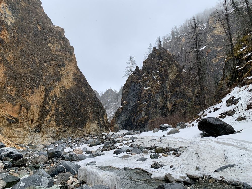 Photograph by Tatyana Grishko