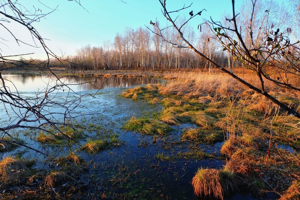 Photograph by Сергей Колесниченко