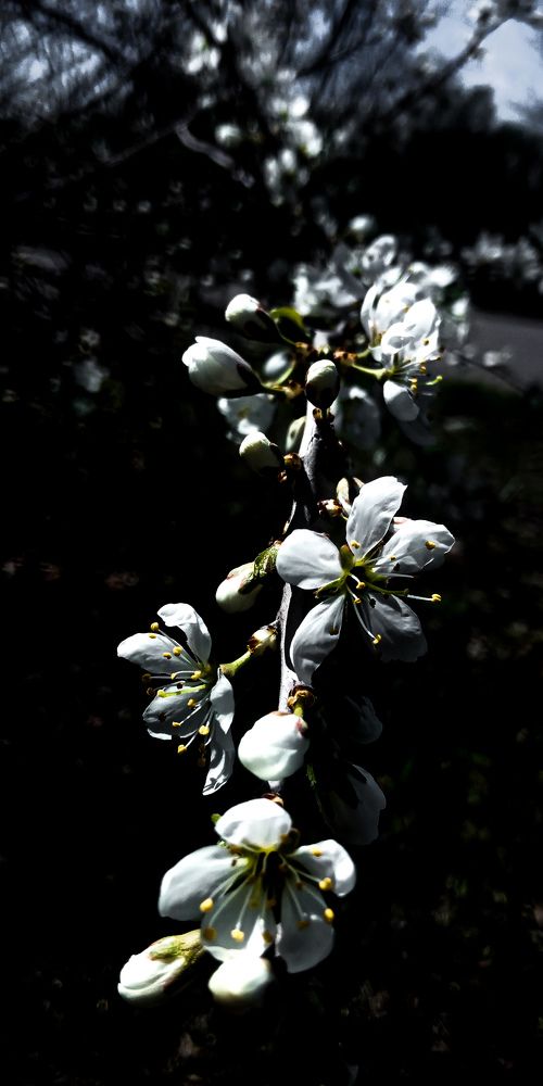 Photograph by Дарья Лазарева