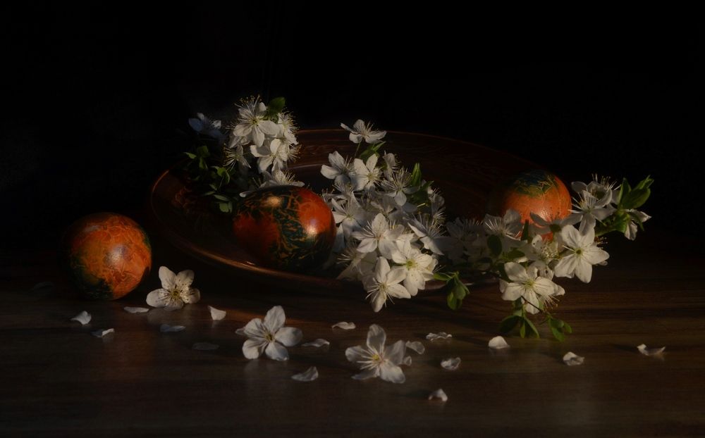 Фотография автора Евгения Илина