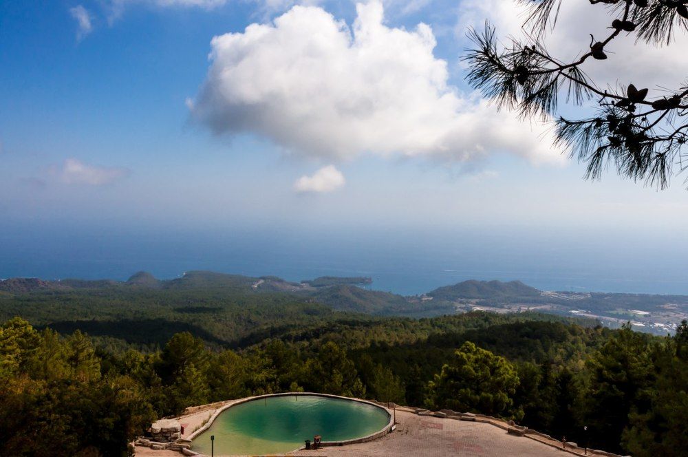 Photograph by Марина Тютюник