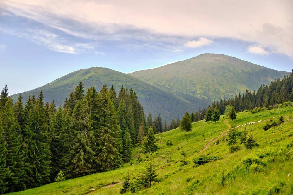 Photograph by Александр Серняк