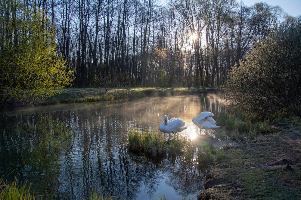 Photograph by Александр Лобынцев