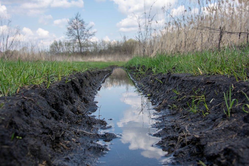 Photograph by Александр Лобынцев