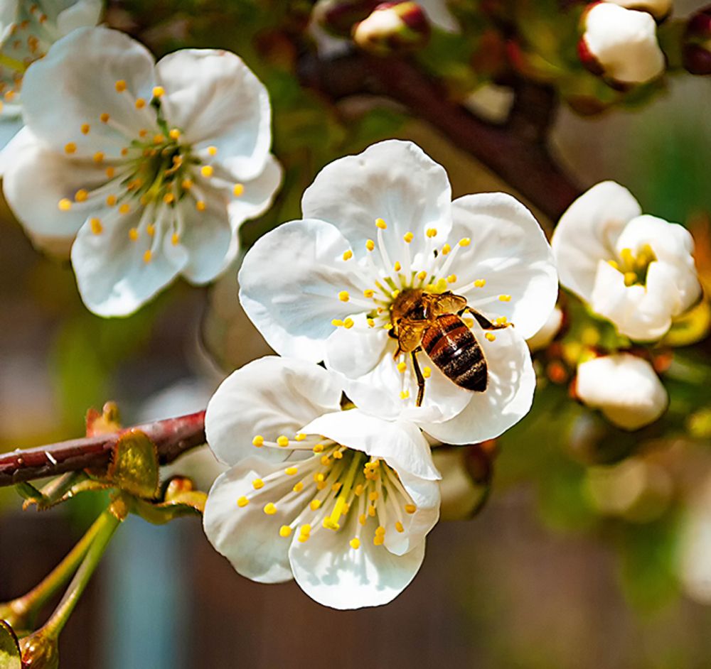 Photograph by Татьяна Коваленко
