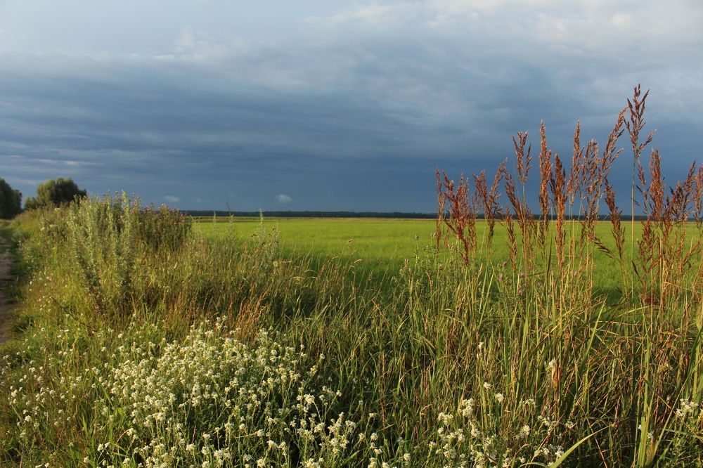 Photograph by Виталина Мельникова