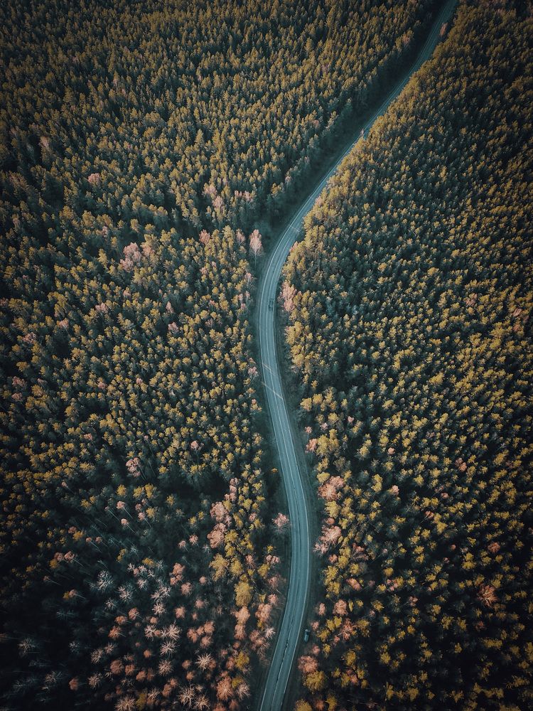 Photograph by Дмитрий Копылов