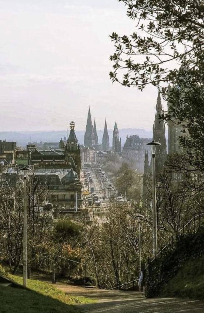 Photograph by Dina Ahmed