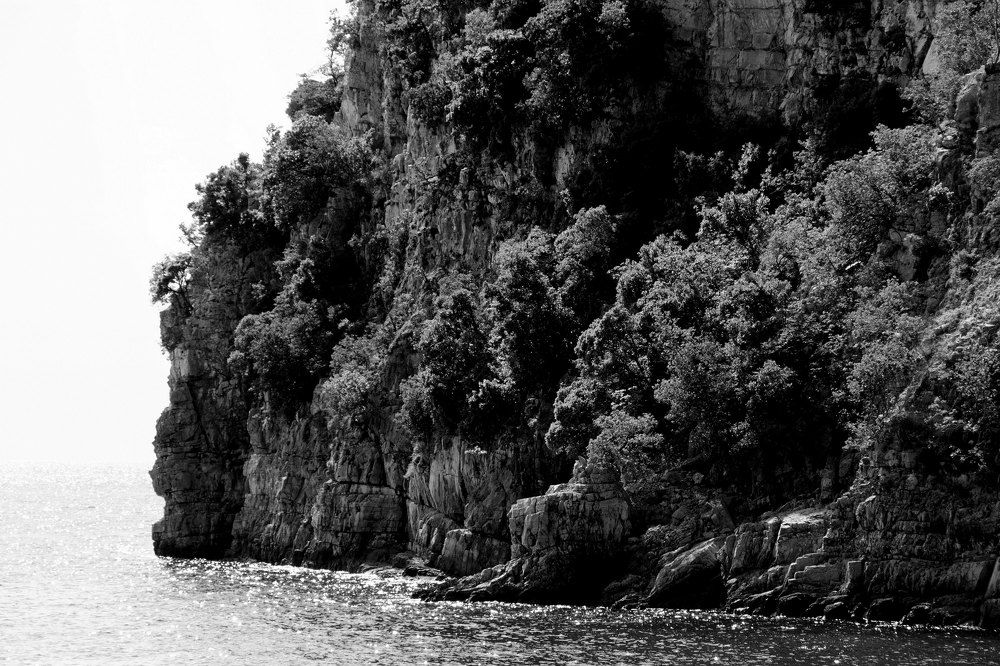 Photograph by brut carniollus