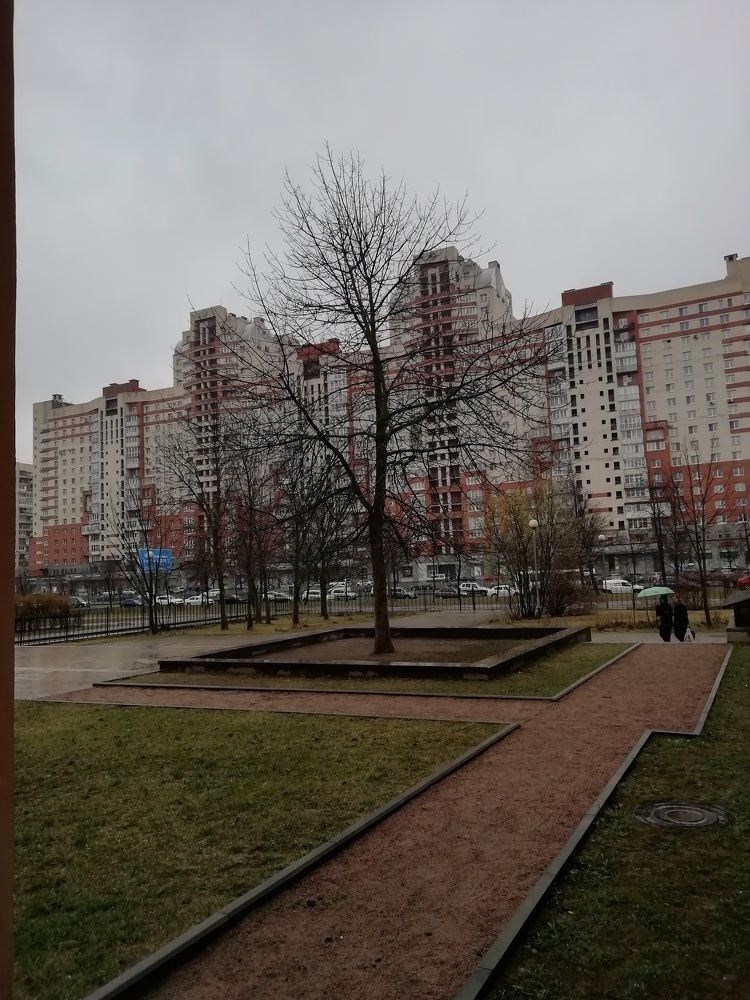 Photograph by Михаил Кочанин