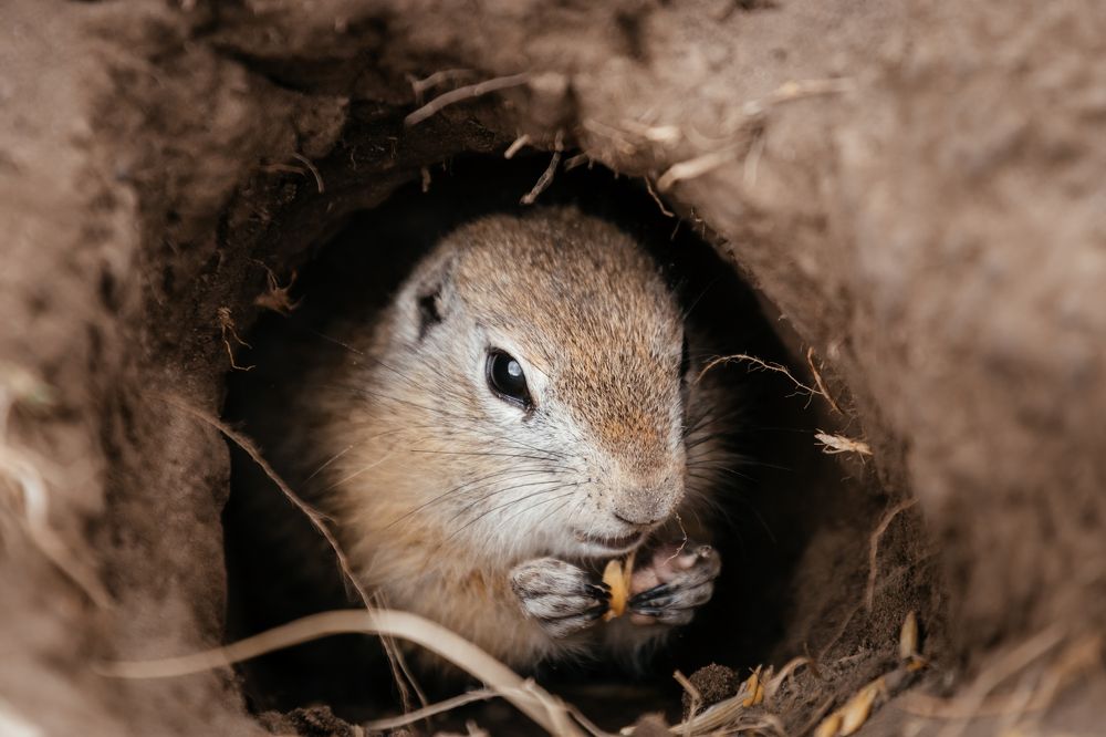 Photograph by Оксана Корчагина