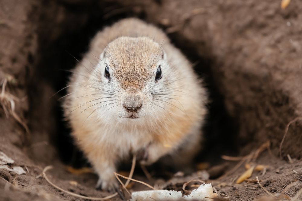 Photograph by Оксана Корчагина